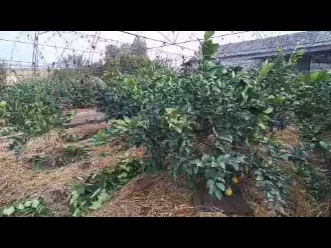 Видео: 30 октября 2025 г.