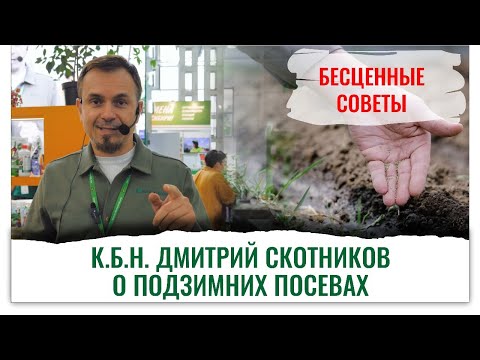 Видео: Почва, биопрепараты и семена. Все, что нужно для предзимних посевов