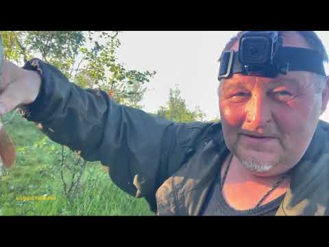 Видео: НЕПОНЯТНАЯ Териберка. Что это за РЫБА?  Август 2025.