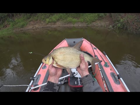 Видео: РЫБАЛКА НА КОЛЬЦО. ЧЕХОНЬ НА ПОПЛАВОК. ПРИЯТНЫЙ ТРОФЕЙ В САДКЕ