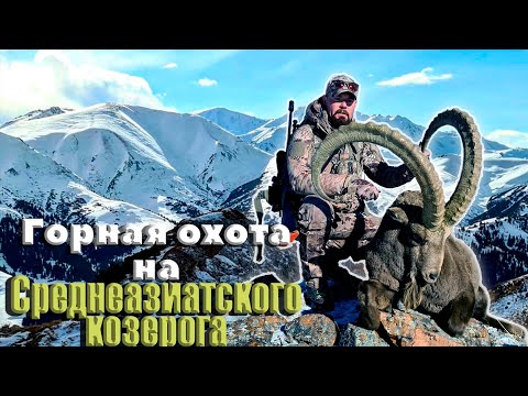 Видео: Горная охота на Среднеазиатского Козерога! Mid Asian Ibex hunt in Kazakhstan