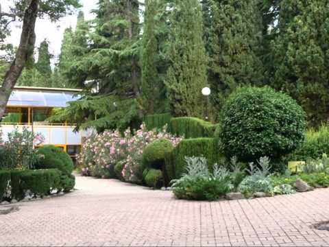 Видео: самый  ЧУДЕСНЫЙ АРТЕК !