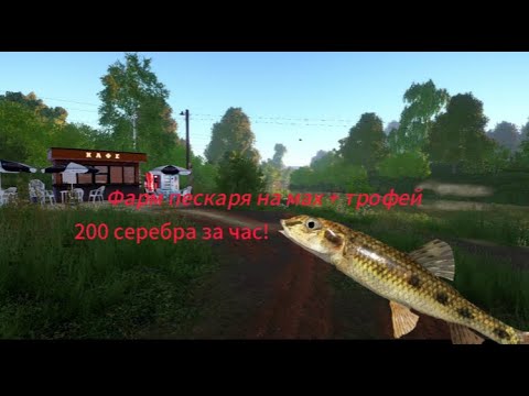 Видео: Фарм пескаря на реке Вьюнок. 200 серебра за час!!