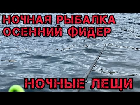 Видео: НОЧНАЯ РЫБАЛКА ФИДЕР ОСЕНЬЮ РЕКА и НОЧНЫЕ ЛЕЩИ