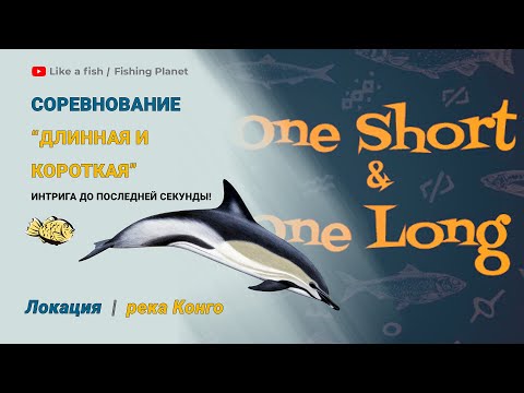Видео: Fishing Planet - Соревнование "Длинная и короткая" (One short & One long) на реке Конго. Интрига!