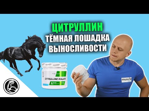 Видео: Как цитруллин поднимет выносливость? Обзор Progress Nutrition Citrulline Malate