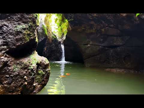 Видео: Течение реки, атмосфера лесной реки помогут вам крепко спать и чувствовать себя умиротворенно