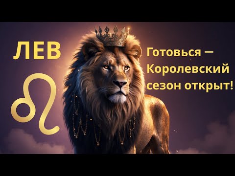 Видео: ♌️ Королевский сезон для Львов открыт! 👑 ✨