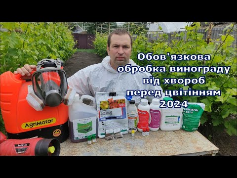 Видео: Обробка винограду від хвороб перед цвітінням 2024