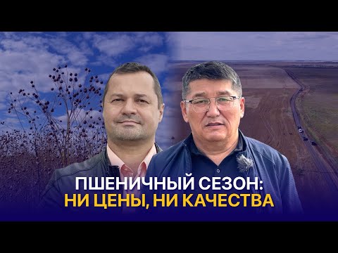 Видео: Пшеница не кормит — перейдем на масличные | Агрофирма Майбалык
