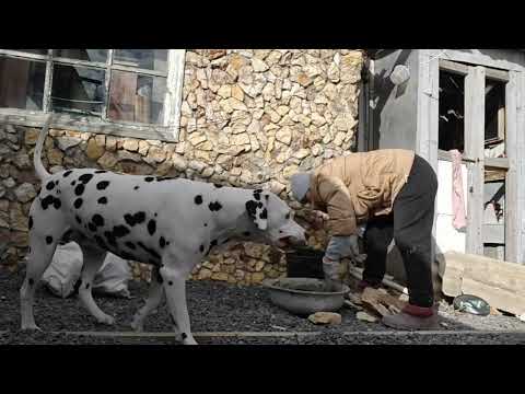 Видео: 7 ОКТЯБРЯ. ЛЮБИШЬ ПЛАВАТЬ В БАССЕЙНЕ , ЛЮБИ И ВОДУ ВЫЧЕРПЫВАТЬ. СДЕЛАЛА ВСЕ ЗАПЛАНИРОВАННЫЕ ДЕЛА.