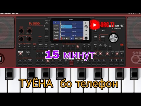 Видео: 15 Минут "ТУЁНА" бо телефон 😱😱org2024 #korg #org2024 #tuyona #туёна #втренде