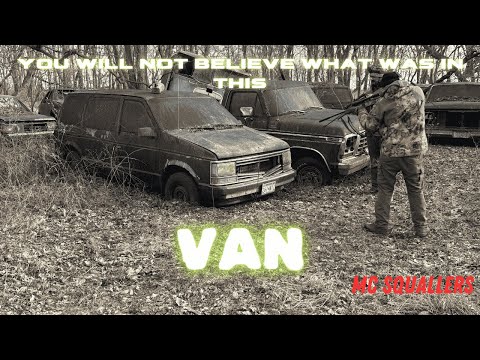 Видео: Охота на енотов: самая безумная охота СЕЗОНА! #наприроде #охотанадикихживотных #охотанаоленей #ди...