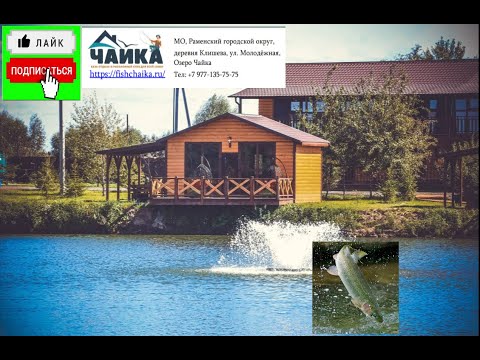 Видео: РК ЧАЙКА ВСЁ ДЛЯ КОМФОРТНОГО ВРЕМЯПРОВОЖДЕНИЯ !!!