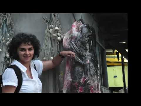 Видео: Дунав и рибарите