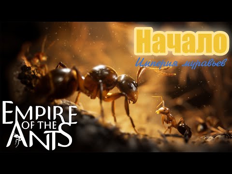 Видео: Empire of the Ants 2024 Империя муравьев НАЧАЛО