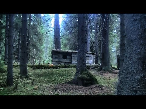 Видео: Ищем жильё разбойников #191