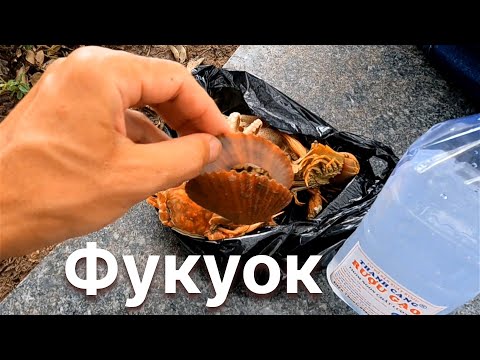Видео: ВЬЕТНАМСКАЯ ВОДКА и ЗАКУСКА, ОБЗОР ЦЕНТРА ОСТРОВА ФУКУОК ​⁠@KamikadzeTravel во Вьетнаме