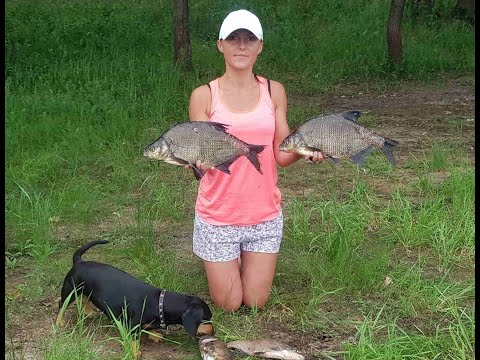 Видео: Ловля леща,судака на Припяти.Рыбалка с ночевкой.