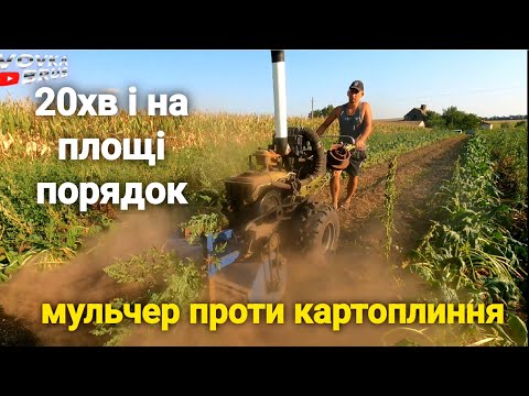 Видео: Ефективний метод уборки бадилі і бур'яну по картоплі ТУРБОМОТОБЛОКОМ з мульчером.