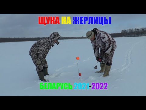 Видео: РЫБАЛКА ОНА ТАКАЯ! оз. Шелохово. ЛОВЛЯ ЩУКИ ЗИМОЙ В БЕЛАРУСИ 2021-22.