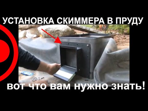 Видео: Как установить скиммер в пруд | ПРУД ПРУДИ