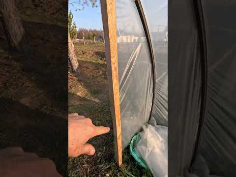 Видео: балаганы
