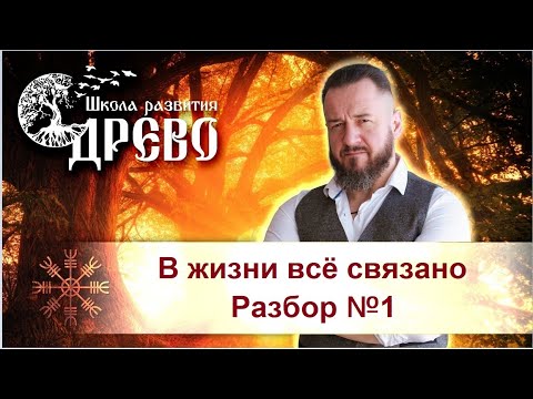 Видео: В жизни всё связано  Разбор №1