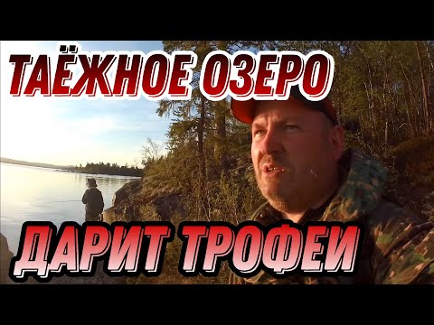 Видео: ЩУКА, КУМЖА, ХАРИУС, ОКУНЬ НА СПИННИНГ. В ТАЙГУ С НОЧЕВКОЙ.