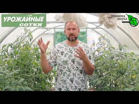 Видео: ОЧЕНЬ ЭФФЕКТИВНЫЕ ПОДКОРМКИ. Внекорневые подкормки: эффективно, экономно, легко!