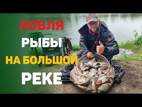 Видео: ловля рыбы на реке