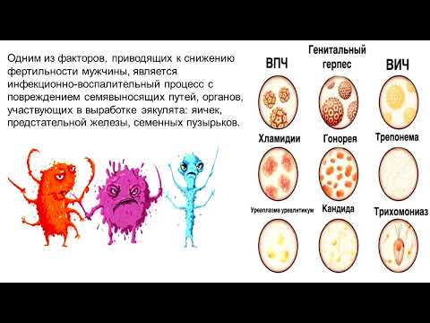 Видео: Мужское здоровье и ИППП