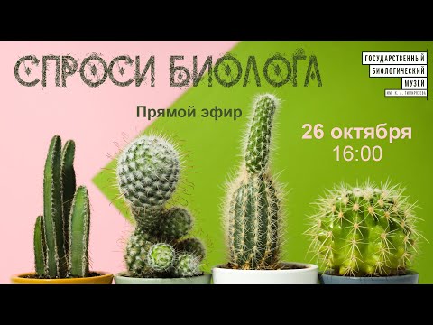Видео: Спроси биолога. Кактусы