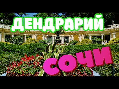 Видео: СОЧИ ДЕНДРАРИЙ 2023....С ума сойти!!!!Если вы тут не были это ПРЕСТУПЛЕНИЕ!