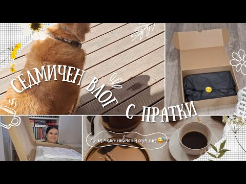 Видео: Reading Vlog #7 | Йелоуфейс, update за библиотеката 💛