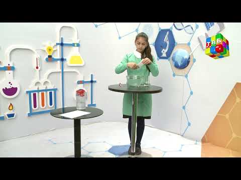 Видео: «Таҷриба» - Стакан ва коғаз