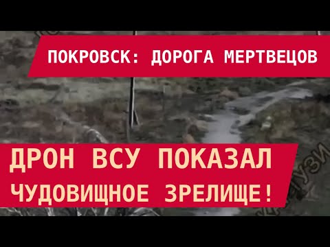 Видео: Покровск: дорога мертвецов. Чудовищное зрелище провала оккупантов!