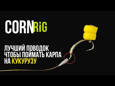 Видео: ЛОВЛЯ КАРПА на КУКУРУЗУ! Самый ЛУЧШИЙ ПОВОДОК! - Corn RIG!