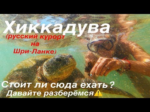 Видео: Хиккадува- русский курорт на Шри_Ланке (часть 7)