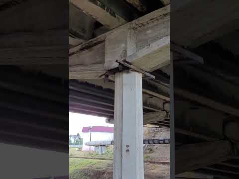 Видео: 1 серия 50 лет спустя 10 11 2023