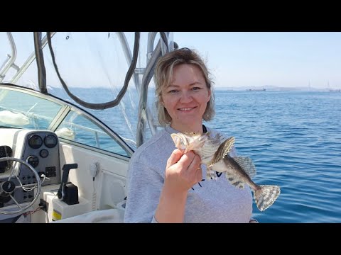 Видео: Все черти пойманы! Рыбалка в Японском море #владивосток #рыба #рыбалка #японскоеморе