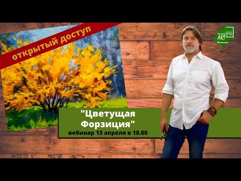 Видео: Цветущая Форзиция