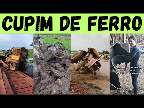 Видео: Сгорел с тракторами: гамбиарры, которые давали плохие ...