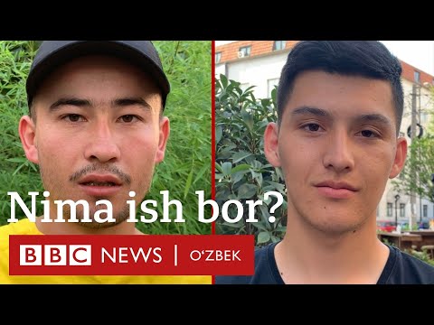 Видео: Сербия Ўзбекистон фуқароларини ишга олмоқда: Ўзбеклар у ерда нима қилишади? BBC News O'zbek