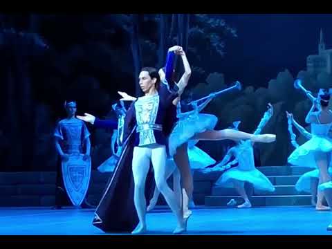 Видео: Сцена сна, адажио, Ксения Овчинникова,  Педро Сеара,  "Раймонда" 1 ноября 2025