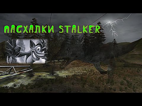 Видео: STALKER: секреты и пасхалки, о которых Вы могли не знать