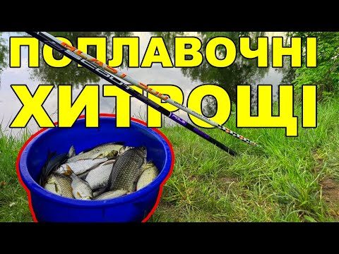 Видео: Рибалка на поплавок на Південному Бузі 2025: Весняний кльов підляща та карася!