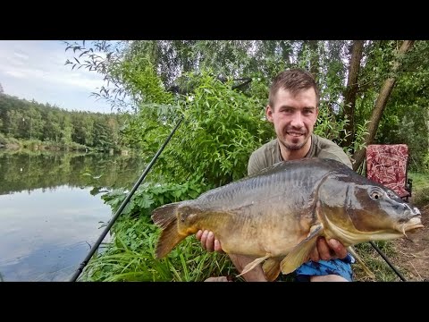 Видео: Тест саморобних Бойлів.Ловля Коропа на Бойли.