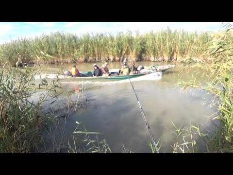 Видео: Рыбалка в октябре на сазана