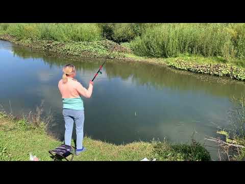 Видео: ПУТЕШЕСТВИЕ на РОДИНУ ПРЕДКОВ